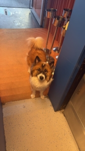 95fe59a2-79fb-4ee2-a3be-e290c410e046