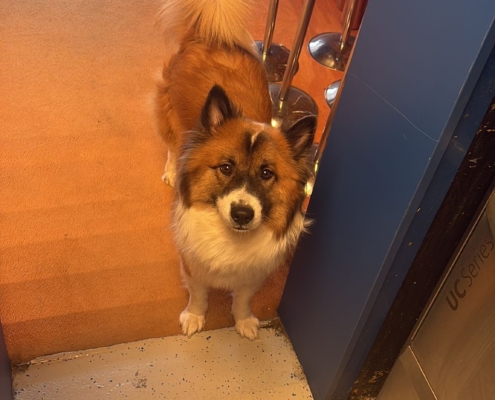 95fe59a2-79fb-4ee2-a3be-e290c410e046