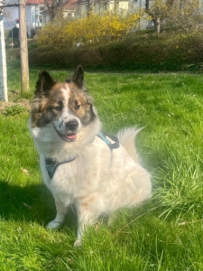 e667143d-948e-4c51-94ab-c13d63d94281