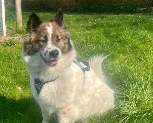 e667143d-948e-4c51-94ab-c13d63d94281